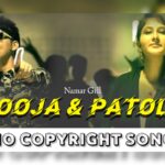 Pooja & Patola