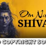 Om Namah Shivaya