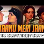 Jaanu Meri Jaan